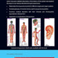 Clinical Acupuncture With Chart