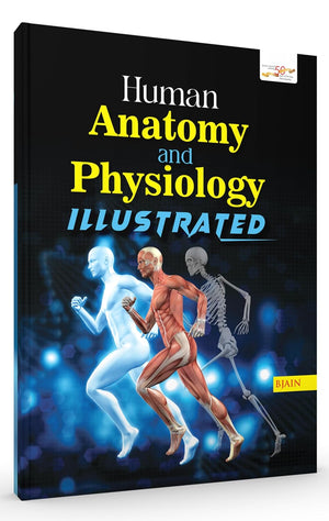 Human Anatomy and Physiology Illustrated